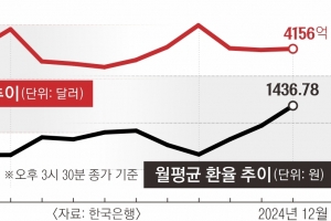 환율 폭등에도 외환보유액 증가 왜?