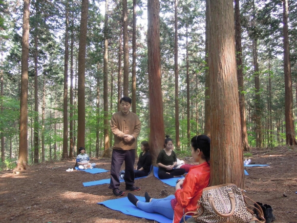 숲 태교, 임산부 스트레스 등 완화…예비 아빠도 역할 인식