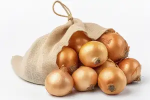 양파 가격 평년 대비 23.3%↓…농식품부, 할인행사·비축분 수출 추진