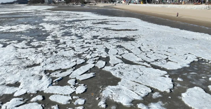 갯벌도 얼어붙었다… 영하 22도 오늘 한파 절정