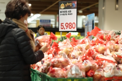 설차례상 비용 대형마트 40만원, 재래시장 30만원?