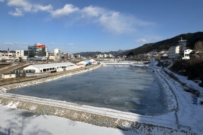 “인삼 먹은 송어 잡아요”… 홍천강축제 18일 개막