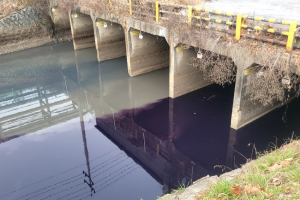 대구서 하수관로에 보라색 폐수 유입…닷새 넘게 경로 못찾아