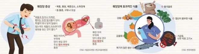 췌장암 증상. 서울신문 그래픽 DB.