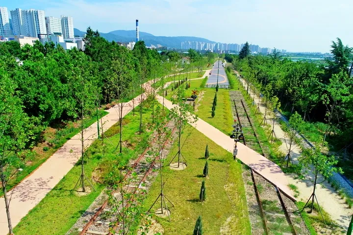 울산 북구 기후대응 도시숲.