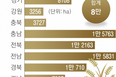 정부, 벼농사 축소 통보에… 농민 “반헌법적 권리 침해”