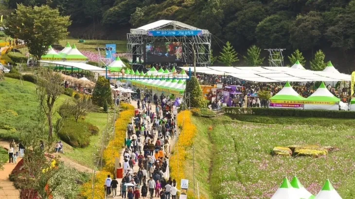 지난해 화순 고인돌 가을꽃 축제장 모습. 화순군 제공