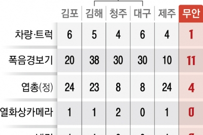 [단독]‘버드 스트라이크’ 이유 있었다…무안공항, 인원·장비 등 “조류충돌 예방” 인프라 전국서 최하위