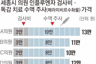 4인 가족 60만원… ‘9년 만의 대유행’ 독감 치료도 부익부빈익빈