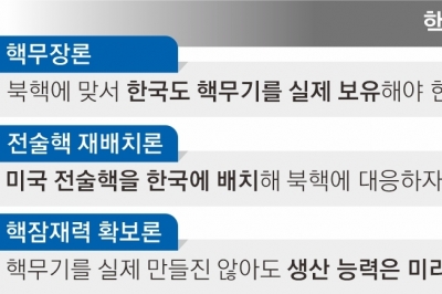 ‘北 핵보유국’ 언급에… 다시 주목받는 한국의 ‘핵잠재력’ 확보론