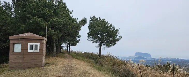 말미오름 정사에서 바라보이는 성산포. 제주 강동삼 기자