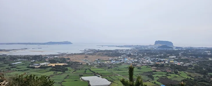 말미오름에서 보이는 우도(왼쪽)와 성산포. 제주 강동삼 기자