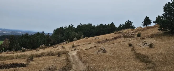 말미오름 지나 산길을 걷다가 만나는 촐밭 갈림길 오른쪽으로는 알오름으로 가는 길이다. 제주 강동삼 기자