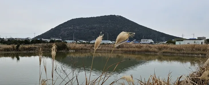 종달9경 중 7경 철새도래지 뒤편으로 지미봉이 보인다. 제주 강동삼 기자