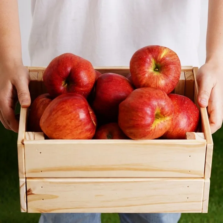 무주반딧불 사과.