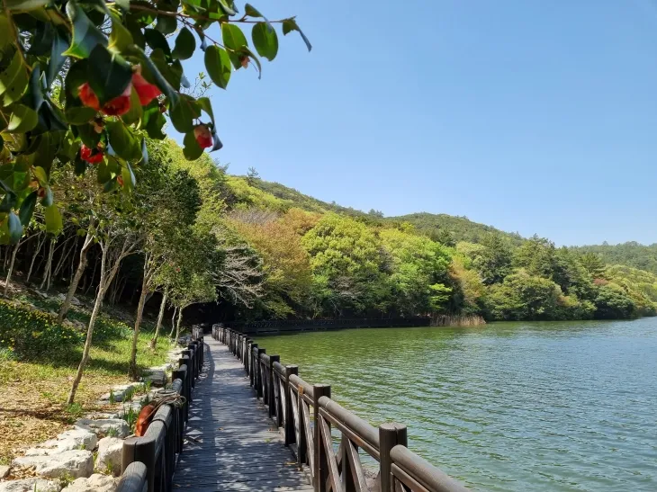 완도 수목원 전경