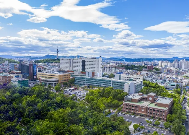 영남대병원 전경. 영남대병원 제공.