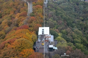 본지 안주영 부장, 이달의 보도사진 최우수상