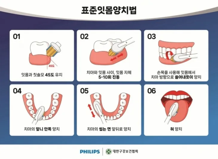 대한구강보건협회가 만든 표준잇몸양치법 안내문. 대한구강보건협회·필립스