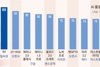 美, 혁신 대신 中봉쇄 일변도의 AI 전략… ‘딥시크 괴물’ 키웠다 [글로벌 인사이트]