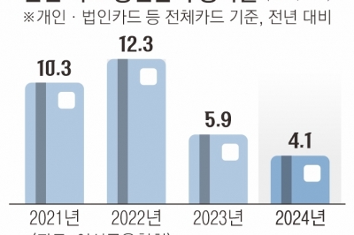 신용카드 승인금액 증가율 반토막…꽁꽁 언 소비 심리에 소상공인 울상