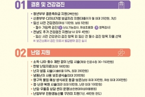 전남도, 맞춤형 출산 정책 대폭 강화