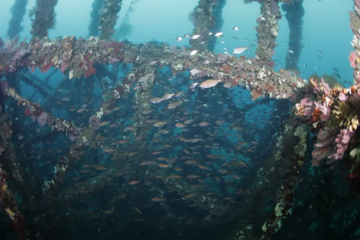 통영해역에 조성한 인공어초. 2025.2.5. 경남도 제공