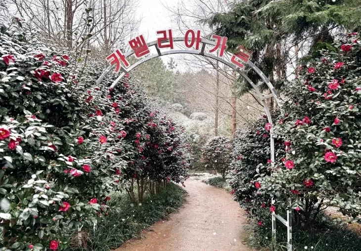 신안군  ‘섬 겨울꽃 축제장‘
