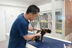 구로구, ‘길고양이 중성화 사업(TNR)’ 운영