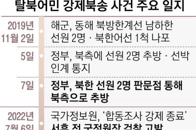 “北 주민도 대한민국 국민… 하지만 분단국가 특수성 고려해야”