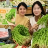 청도 미나리로 봄을 맛보세요