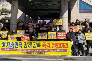 충남 벼 재배 면적 12% 축소…도의회·농민단체 반발