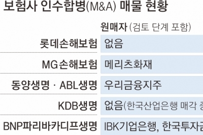 몸값 비싸고, 수익성·건전성 나쁘고… 보험사 M&amp;amp;A ‘잔혹사’