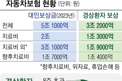 車보험 ‘향후치료비’ 중상만 지급… 나이롱환자들, 합의금 못 받는다