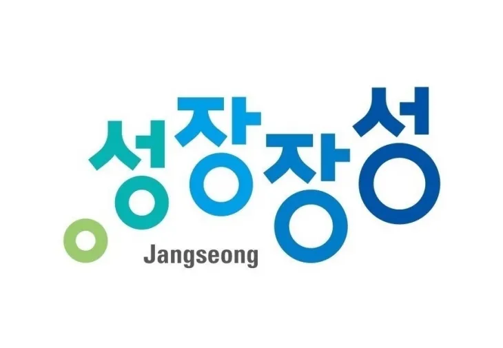 성장 장성, 장성군 BI