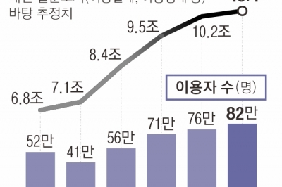 [단독] “신용 낮으니 30만”… ‘쪼개기 대출’ 극성인데 손 놓은 정부