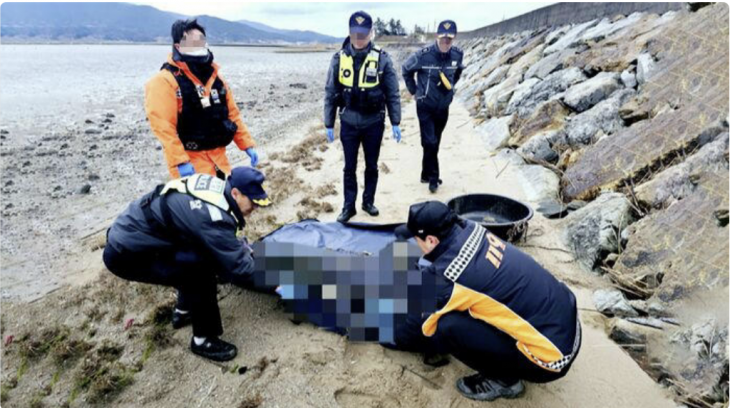 해양경찰이 해남군 송지면 갯벌에서 실종된 부부의 시신을 수습하고 있다. (완도해양경찰 제공)