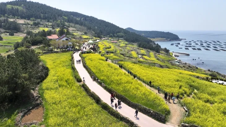 완도군 청산도 슬로길 전경