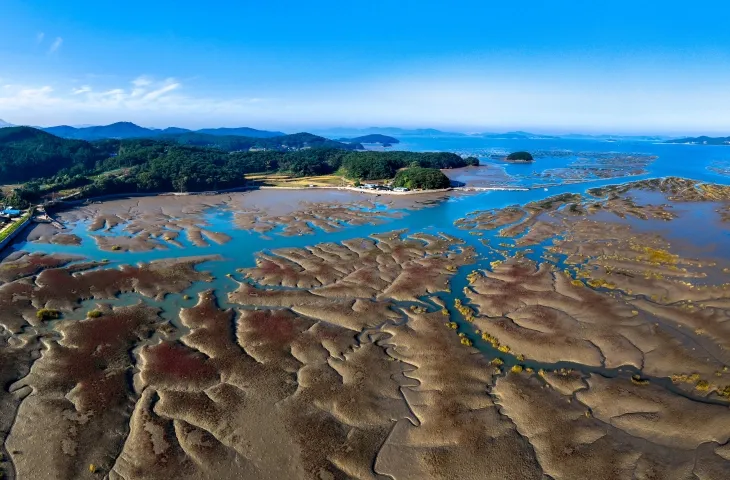 충남 서산 가로림만 갯벌. 충남도 제공