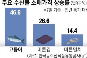 고등어 47%·마른멸치 14%↑… ‘피시플레이션’에 밥상물가 비상