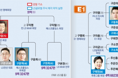 수백억 부당 이득 형사재판… LS ‘오너리스크’ 불붙는다