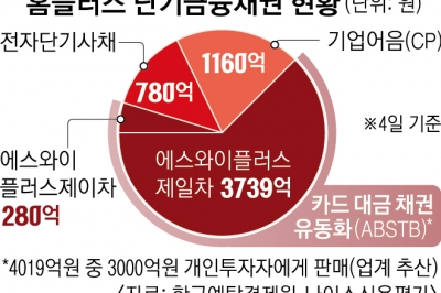 국세청, 홈플러스 대주주 MBK 세무조사 착수