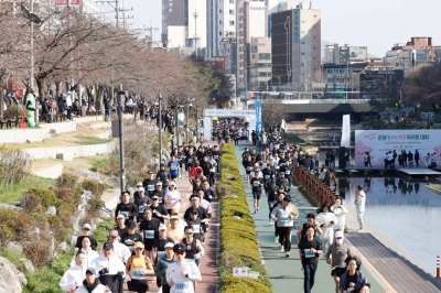 “벚꽃과 함께 달려요”…은평구, 오는 19일까지 ‘불광천 마라톤대회’ 참가자 선착순 모집