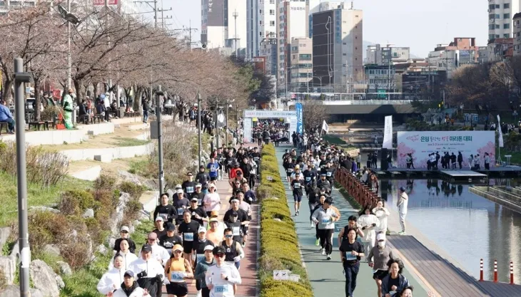 지난해 열린 서울 은평구의 ‘2024 벚꽃 마라톤대회’ 모습. 은평구 제공