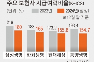 보험사 지급여력비율 최대 20%P 완화… 자본 확충 숨통 틔운다