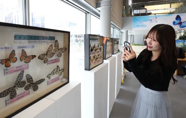서울 노원구청 로비 노원책상갤러리 모습.   노원구 제공