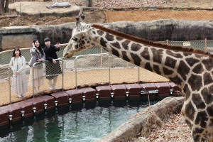 에버랜드 걸으며 사파리 체험