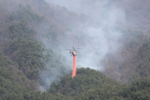 산청·하동 산불, 지리산국립공원 500m까지 접근