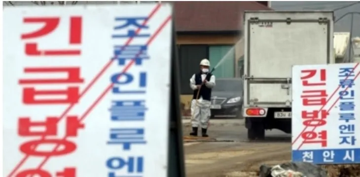 조류독감 방역 모습. 서울신문DB