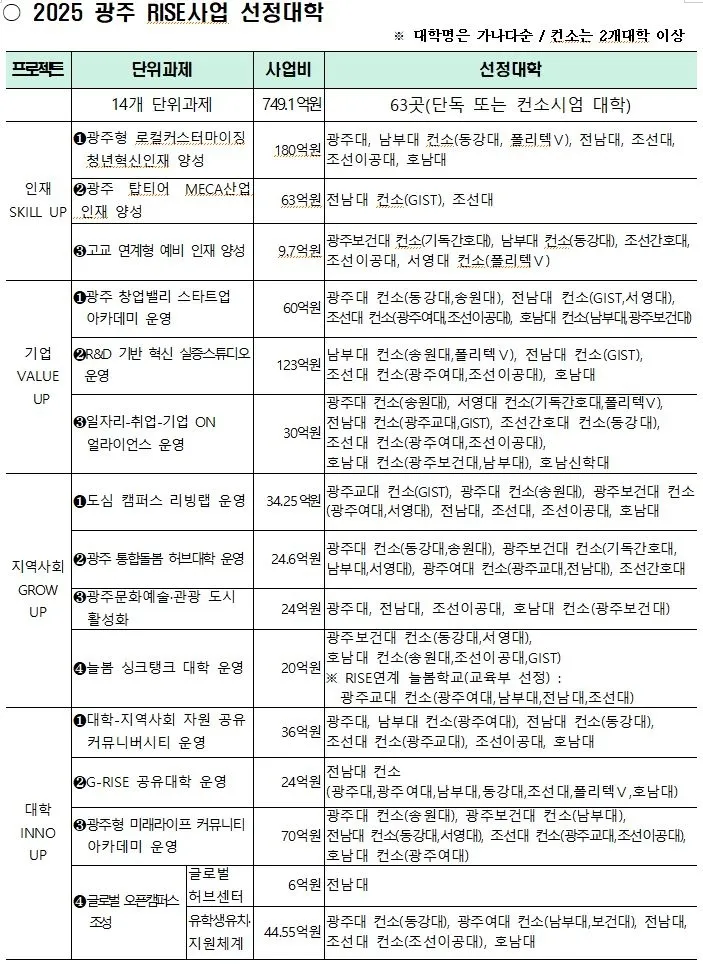 2025년 광주 RISE사업 선정 대학. 광주광역시 제공